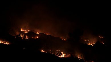 صورة لبنان.. حرائق جديدة في مناطق مختلفة